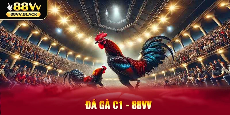 Đá gà C1 - Giải đấu đỉnh cao với những chiến kê xuất sắc và kịch tính