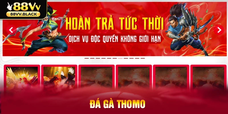 đá gà thomo