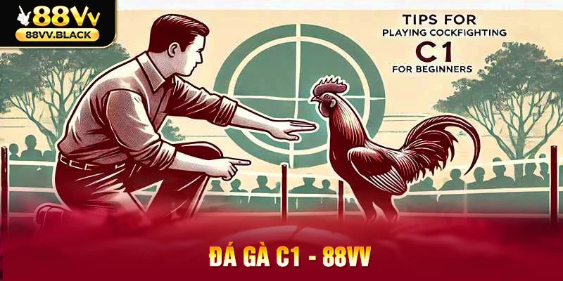 Mẹo chơi đá gà C1 giúp tăng cơ hội chiến thắng và đảm bảo an toàn
