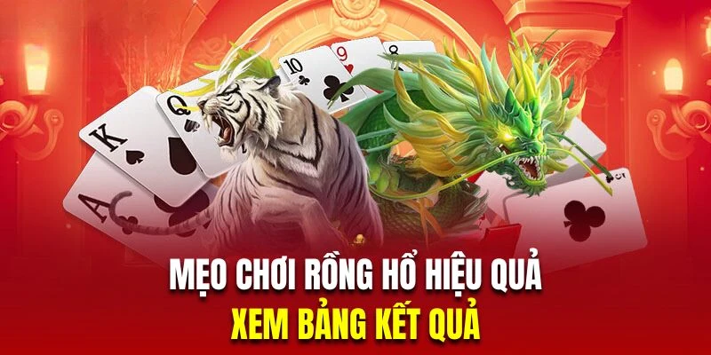 Hội viên theo dõi bảng kết quả để trải nghiệm Dragon Tiger hiệu quả
