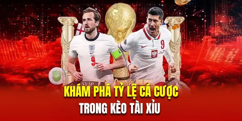 Khám phá tỷ lệ cá cược trong kèo tài xỉu